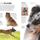 "Hütehunde: Seit über 3000 Jahren beschützen und hüten Hunde andere Tiere." Verschiedene Hunderassen werden dargestellt.