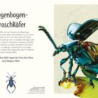 Regenbogen-Froschkäfer: Käfer mit metallisch glänzender blauer Schale, großen Hinterbeinen. Text erklärt ihre Namen und Merkmale.