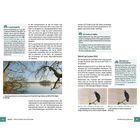 Eine Doppelseite mit Texten über F-Log-Anzeigehilfe, LUT-Profile, Hybrid Log Gamma und Kontrastreduktion. Enthält zwei Naturfotos.