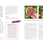 „Der Beerenschnitt trägt enorm dazu bei, möglichst viele köstliche Früchte zu ernten. Daher ist er für mich keine Pflicht, sondern Kür.“

Bilder: Links ein Korb mit Himbeeren, rechts Brombeeren in einer Hand.