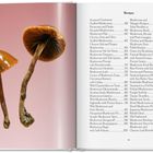 Rezepte-Seite mit Pilzgerichten und zwei braunen Pilzen auf rosa Hintergrund.