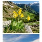 Kalender mit Bildern von Bergen, Blumen und Seen. Unten Mai-Kalender mit hervorgehobenen Sonntagen. Zahl 5 groß dargestellt.