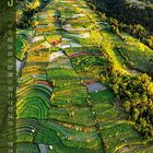 Text links: Zahlen von 1 bis 31 vertikal angeordnet. 

Ein Berg mit landwirtschaftlichen Terrassen im Vordergrund.