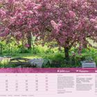 Mai-Kalender mit Gartentipps, Rezeptideen und Saisonkalender. Blühender Baum, Blumenbeet und rustikale Gartenbank.