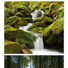 Kalenderseite mit einem Foto von zwei Kernbeißern, Wasserfällen und einem Wald im Sonnenlicht. Mai ist hervorgehoben.