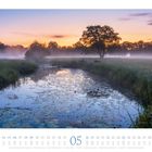 05. Mai. Morgenstimmung im Dessau-Wörlitzer Elbauen. Ein ruhiger Fluss mit Seerosen, Bäume und Nebel bei Sonnenaufgang.