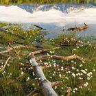 Mai-Kalenderblatt mit Landschaftsfoto: Vordergrund mit Wollgras, Bergkulisse im Hintergrund, spiegelnd im Wasser.