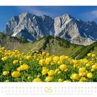 Text: "Blühende Trollblumen vor Lamsenspitze (2.508 m) Naturpark Karwendel, Tirol, Österreich." Gelbe Blumen, Berge im Hintergrund.