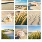 Kalenderblatt für den Mai. Neun Bilder zeigen Strand, Dünen, Muscheln, eine Robbe und Gräser. Im unteren Bereich sind Kalendertage.