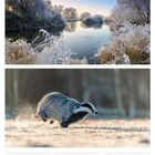 Der Text beschreibt die Kalenderwoche 02 im Januar 2027. Ein Dachs rennt durch eine winterliche Landschaft.