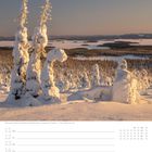 Gefrorene Fichten im Riisitunturi-Nationalpark, Lappland - Finnland. Kalender für Januar, Woche 2. Schnee und Bäume.