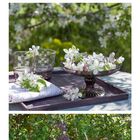 Mai-Kalender mit Flieder, Blumen und Hängesessel im Garten. Tisch mit Blüten und Kerzen in Gläsern.