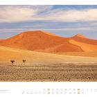 05. Mai. Montag bis Sonntag von 01 bis 31 in einem Kalender. Vor gelben Dünen und blauem Himmel wachsen zwei Bäume.