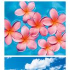 Mai-Kalender; roter Rettungsturm, rosa Blüten, weißer Sandstrand, rote Sonnenschirme vor türkisblauem Meer.