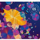 Text: "05, Knöl Gaff, The Art of Science." Illustration bunter, blasenartiger Formen und Muster auf dunklem Hintergrund.