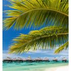 "04 JANUAR" zeigt Hütten über türkisfarbenem Wasser, umgeben von Palmen unter einem blauen Himmel.