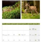 05 2027. Kalenderseite mit Bildern von Waldszenen und einem jungen Luchs. Feiertage sind eingetragen.