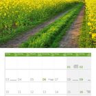 Kalender Mai 2027, mit Feiertagen und Wochenübersicht. Foto: Weg durch Rapsfelder mit Windmühle unter blauem Himmel.