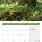 Kalender für Mai 2027. Waldszene mit Bärlauchblüte, Sonnenlicht durchdringt die Bäume, Moos und Blumen am Boden.