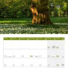 Kalenderseite für Mai 2027 mit Feiertagen. Foto: Ein großer Baum im Frühlingswald, umgeben von blühendem Bärlauch.