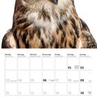 Kalender für Mai 2027 mit einem Uhu oben, große orangefarbene Augen. Veranstaltungen: Tag der Arbeit (1.), Pfingstmontag (17.).