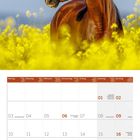 Kalender für Mai 2027 mit Feiertagen. Ein braunes Pferd steht in einem gelben Blumenfeld unter klarem, blauem Himmel.