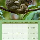 Den Winterspeck habe ich weg. Jetzt habe ich Frühlingsrollen. Kalender für Mai 2027, mit grünem Design und Tierfoto.