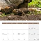 Kalenderseite für Mai 2027. Oben ist ein Bild von einer Wölfin mit Welpen auf grünem Hintergrund.