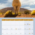 „Versuche stets, ein Stück Himmel über deinem Leben freizuhalten.“ Kalenderseite Mai 2027 mit Lama und Landschaft.