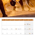 Ein Kalender für Mai 2027 mit brennenden Elefanten im Hintergrund, ein beeindruckendes Foto mit majestätischer Szene.