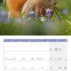 Kalenderseite Mai 2027, darüber ein Eichhörnchen im Gras neben blauen Blumen.