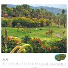 Kalenderblatt für Mai. Zahlreiche Palmen auf einem Golfplatz mit grünem Rasen und bunten Blumen.