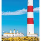 Kalender für Mai 2027. Ein Leuchtturm mit roten und weißen Streifen, blauer Himmel, gelbe Blumen im Vordergrund.