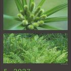 Kalenderblatt mit dem Datum 5 · 2027. Enthält Nahaufnahmen von grünen Pflanzen und Farnen.