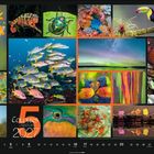 "Colours of Nature 2027" unten groß, Zahlen darunter. Verschiedene Naturfotos: Vögel, Fische, Korallen, Insekten, Muscheln bunt.