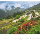 Bergdorf Tashiroha, Kumano-Kodo-Königweg, Region Kii. Reisfelder, grüne Hügel, bunte Blumen im Vordergrund, neblige Berge.