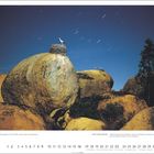 "Wildlife Photographer of the Year 2001. Weißstörche nisten auf Granitfelsen. José B. Ruiz." Großes Nest auf Felsen unter Sternenhimmel.