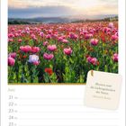 "Blumen sind die Liebesgedanken der Natur." - Heinrich Heine. Kalenderseite für Juni, blühendes Blumenfeld bei Sonnenuntergang.