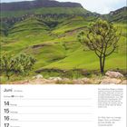 Kalenderseite: Juni, 14. bis 20. Woche, Sternzeichen Zwillinge. Foto: Grüne Hügel und Bäume auf dem Thaba-Bosiu-Plateau, Lesotho.