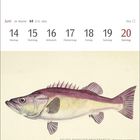 Kalender: 14.-20. Juni, Montag bis Sonntag. Illustration eines Neuseeländischen Wrackbarschs.