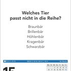 Welches Tier passt nicht in die Reihe? Braunbär, Brillenbär, Höhlenbär, Kragenbär, Schwarzbär. Datum: 15. Dezember, Mittwoch.