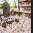 Glück gehabt. Hunderte Winkekatzen im Freien aufgestellt, um einen alten Stein mit einer Buddha-Skulptur herum.