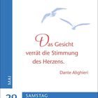 „Das Gesicht verrät die Stimmung des Herzens.“ Dante Alighieri. 29. Mai, Samstag. Zwei fliegende Möwen.
