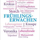 „FRÜHLINGSERWACHEN“, bunte Wörter wie „Lebensfreude“, „Krokus“, „Storch“. Daten unten: 15-21 März, 11. Woche.