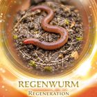 „Regenwurm. Regeneration. Eine Phase der Erneuerung kündigt sich an. Vertraue, und erlaube, dass Heilung geschieht.“ Ein Regenwurm in Erde vor einem spirituellen Symbol, umgeben von leuchtenden Farben und Mustern.