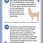 Links oben steht „1d“, daneben: „Das Lama ist eine Art der Kamele...“. Unten „2d“: „Da die Kuh zu den Wiederkäuern gehört...“. Rechts oben ein Lama als Illustration.