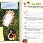 Wusstest du schon? Igel lieben den Herbst. Du brauchst: Leere Klopapierrolle, Kastanie. Igelwurf: Wurfspiel.