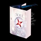 "SOUL MATCH", Autor: Rebecca Danzenbaker. Cover mit funkelndem, rotem Stern in einem silbernen Kreis.