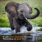 Es gibt nichts Schöneres als einen Nachmittag im Spaß-Bad! Ein Elefantenbaby spielt freudig im Wasser.