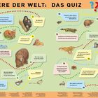 "Tiere der Welt: Das Quiz" hat 18 Fragen zu Tieren, mit Illustrationen von Tieren und Pflanzen.